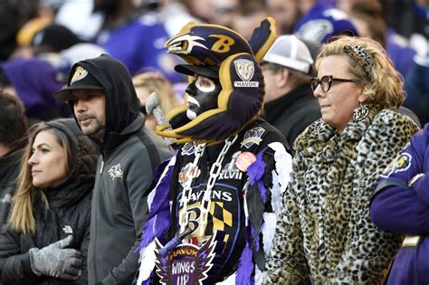 Ravens mascot auditions: How to stand out from the crowd